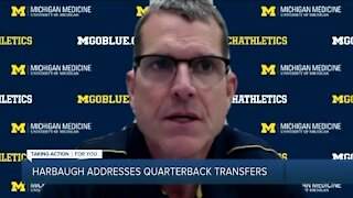 Jim Harbaugh addresses QBs transferring from Michigan