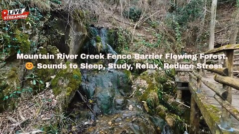 Mountain River Creek Fence Barrier Flowing Forest. 😊 Sounds to Sleep, Study, Relax, Reduce Stress