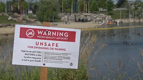 E. coli levels at Esther Simplot Park 1, Quinn's Pond beach above state levels