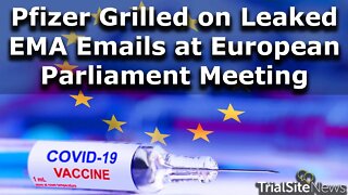 Pfizer Grilled on Leaked EMA Emails at European Parliament Meeting