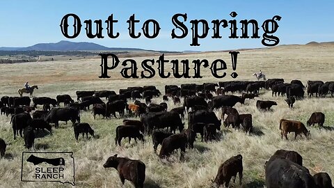 A Rancher Favorite Day of the Year!