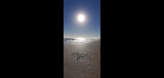 ❤🌞🙂 Morning Walk on the Beach ⛱ 🌞🙏