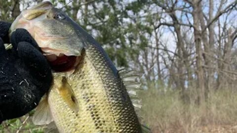 Earliest I Have Ever Caught Bass! (Surprise Catch Pond Fishing)