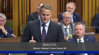 Brad Vis SLAMS Liberals for Hurting Small Businesses