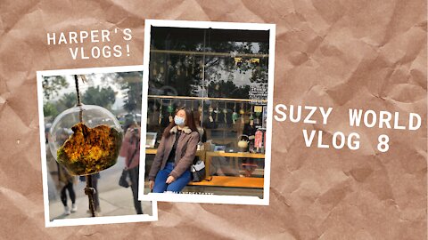 💐Suzy’s World✨Weekly Vlog 8🥰Hong Kong//HK//Tsz Wan Shan//Causeway Bay//Kam Tin Road✿