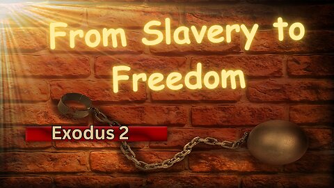 From Chains to Canaan: Exodus 2