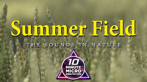 Summer Field - Calm your Mind, Body and Soul with a 10 Minute Micro Meditation