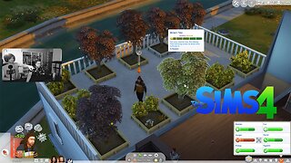 The Money Tree Pays | The Sims 4