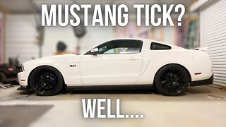 MUSTANG GT ENGINE TICK? Pt. 2 | MIGHT NOT BE