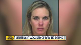 Pinellas County sheriff's lieutenant fired hours after DUI arrest