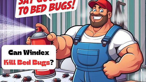 How To Get Rid Of Bed Bugs With Windex