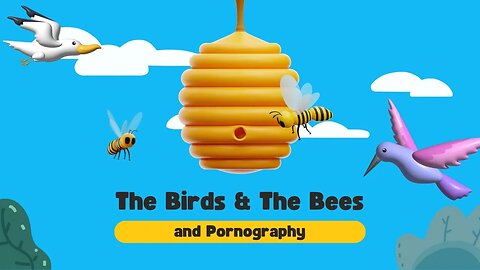 The Birds and The Bees and Pornography (youth lesson)