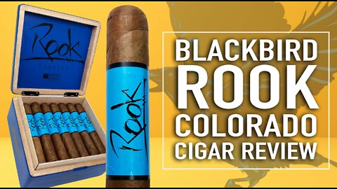 Blackbird Rook Colorado Cigar Review