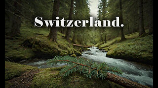 Relaxation in the forest in Switzerland. Chill out. ASMR.