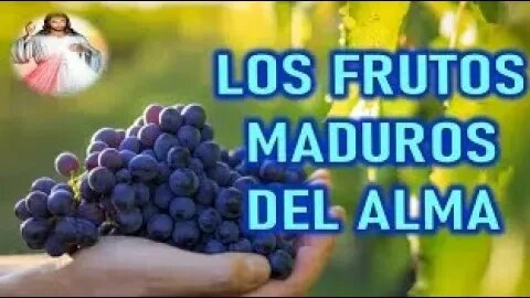 CORTOS LOS FRUTOS MADUROS DEL ALMA JESUCRISTO REY A DANIEL DE MARIA 7 FEBRERO 1