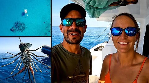 Jess lands on a Crayfish, only on the Great Barrier Reef (Sailing Popao) Ep.25