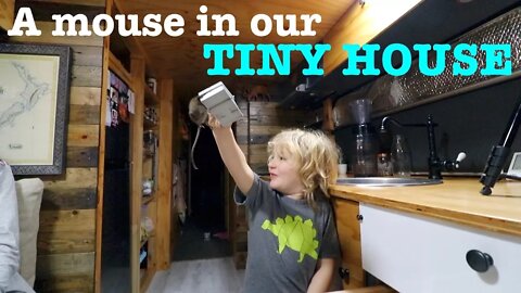 AN INTRUDER IN OUR HOUSE BUS | Bus Life NZ | RV Living Episode 46