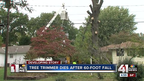 Tree trimmer killed in 60-foot fall