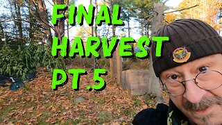 Final Harvest Pt.5 and chores.