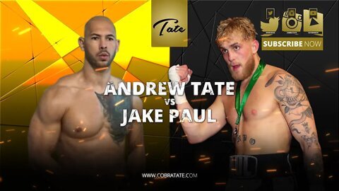 Top G Andrew Tate JAKE PAUL REAL FIGHT 💀 Tristan Tate