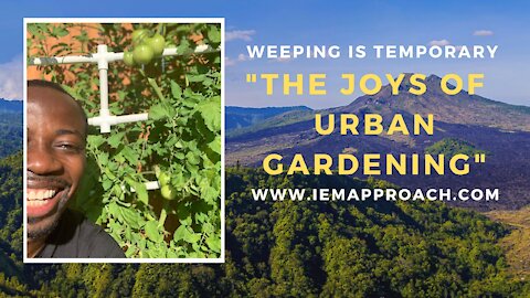 The joys of urban gardening: Keep sowing