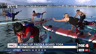 Stand up paddle board yoga in Matlacha - 7:30am live report