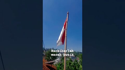 beribarlah merah putih #17agustus2023 #merahputih #shorts