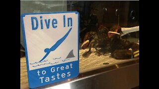 3D Printed Sign "Dive In"