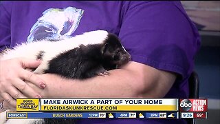 Rescues in Action April 20 | Airwick
