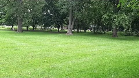 Prayer Time at the Park