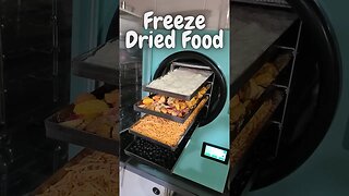 What's in the Freeze Dryer?