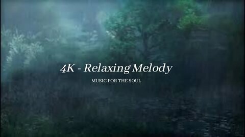 🌿🌿Beautiful music to relieve stress, Relaxing, Rain, Healing music for the heart