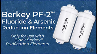 Berkey® PF-2™ Fluoride & Arsenic Reduction Elements 2020, USA Berkey Filters