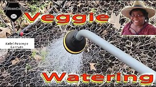 Veggie Watering