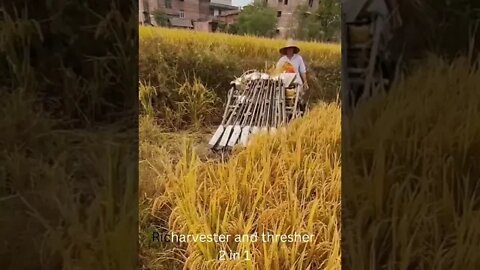 Rice harvester and thresher 2 in 1