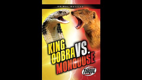 Amazing World Animals Competition The Best Fight of King Cobra vs Mongoose