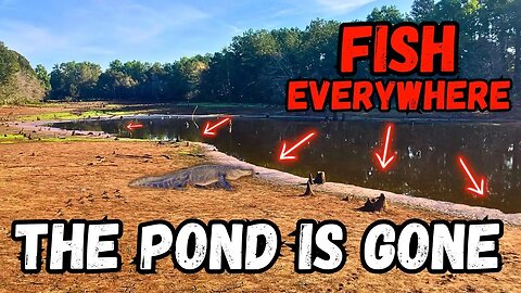 Our Bass Pond DISAPPEARED Overnight! (BUSTED DAM)