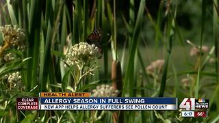 Allergy season picks up as weed pollen enters the air around Kansas City