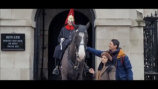 Horse headbutts tourist #horseguardsparade