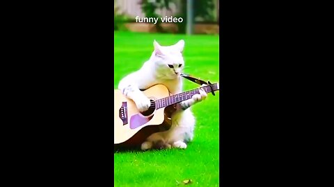 very funny video follow me