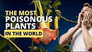 The Most Poisonous Plants In The World #interestingfacts