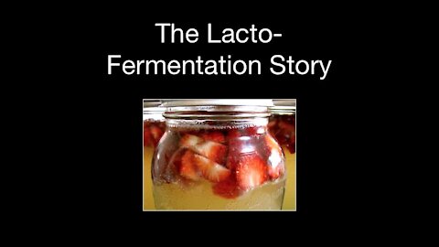 LF02 Lacto-Fermentation Story | Lacto-Fermentation eCourse Lesson 2