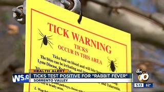 Dangerous tick found on Sorrento Valley trail