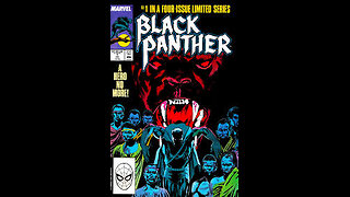 Review Black Panther Vol. 2