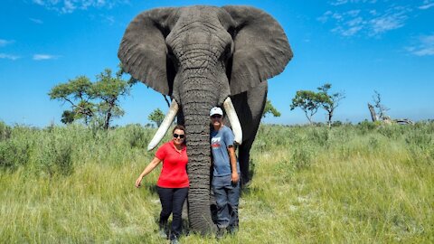 Our Unbelievable Amazing Morning with Two Orphan African Elephants