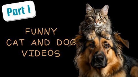 The FUNNIEST Dog and Cat Videos of 2024! | BEST Compilation Ever |