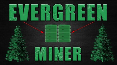 The EVERGREEN CHIA Miner | More Profitable Than GPUs