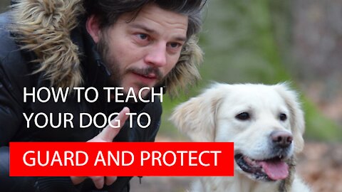 How to Teach your Dog to Guard and Protect People and Objects