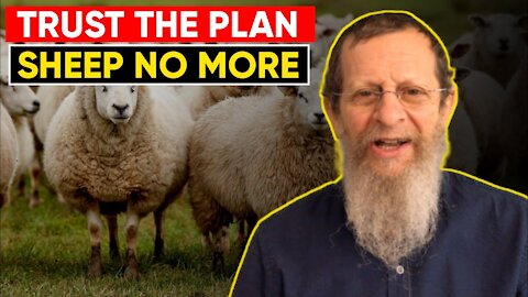TRUST THE PLAN. SHEEP NO MORE. TORAH PROPHECY.