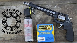 Revolver vs Bear Spray